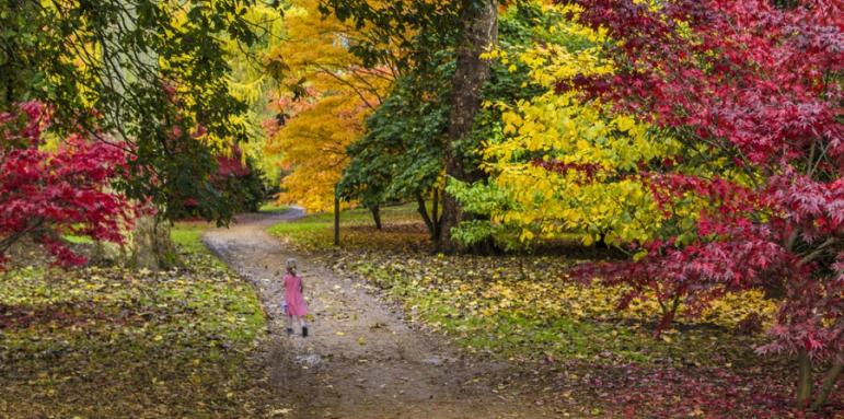 10 лека за есенната меланхолия
