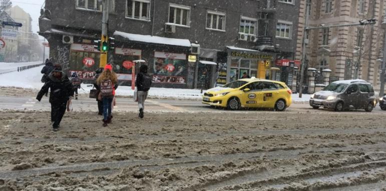 Затварят „синя” и „зелена зона” в София заради снега