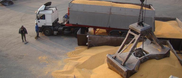 НАП спря 60 камиона със зърно за износ. Запечатаха склада