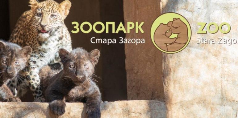 Своите 66 години празнува Зоопаркът в Стара Загора