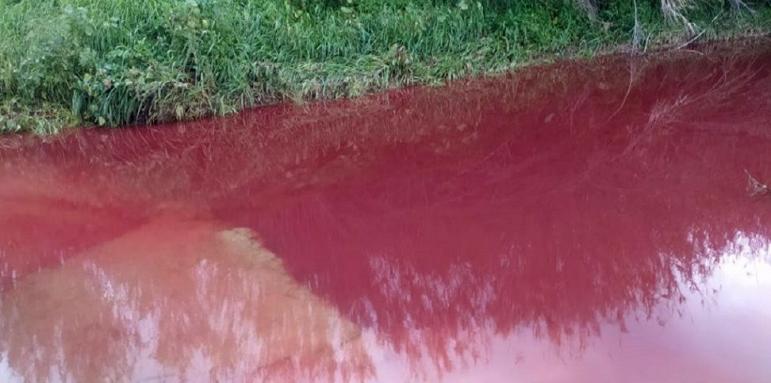 Зловещо! Река потече червена и замириса на кръв