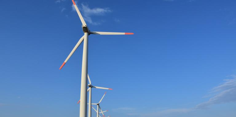 Голям производител на зелена енергия прави вятърна централа у нас