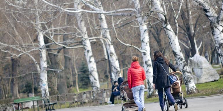 37 на сто готови за родители на заплата