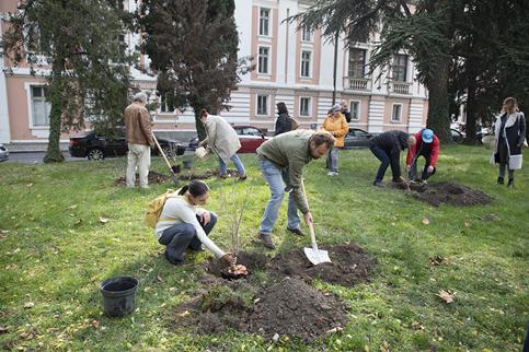 Актьори посадиха „Вишнева градина“ в центъра на Стара Загора