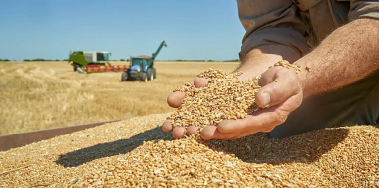 Земеделският министър не вижда проблем с украинското жито