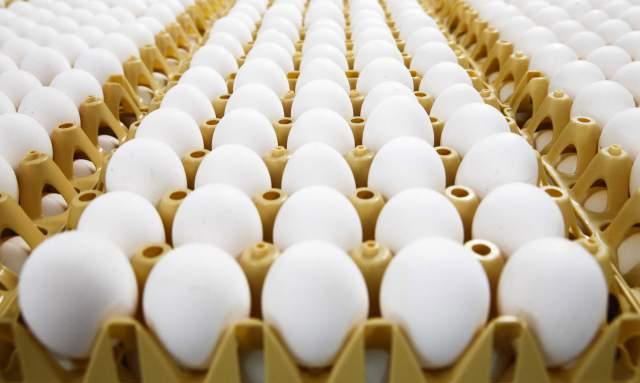 Голяма драма с яйцата, хората не вярват на очите си