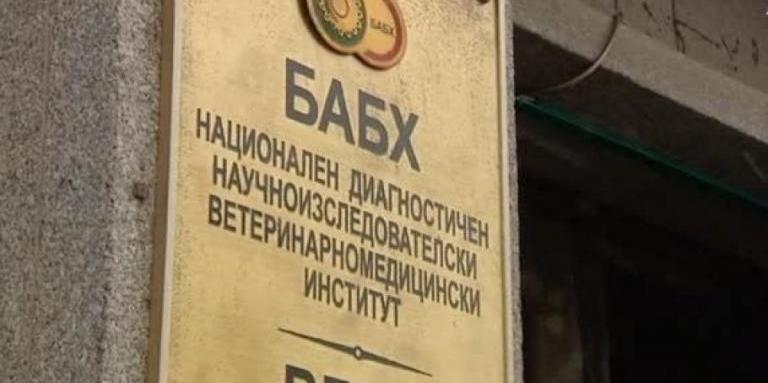 Унищожават над 900 кг храна