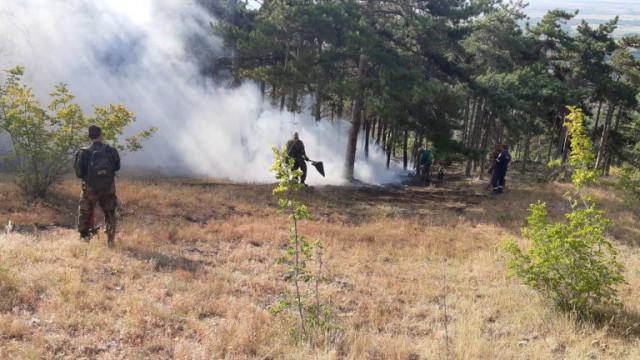 Пак голям пожар край Свиленград