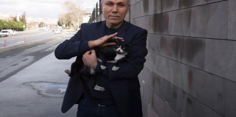 Али Агджа се грижи за бездомни котки в Истанбул