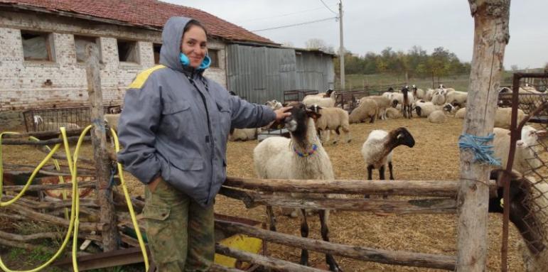 Украйна спря вноса на козе и овче сирене от България