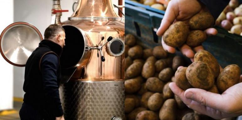 Въвеждат ли сух режим? Британците правят пиячка от картофи