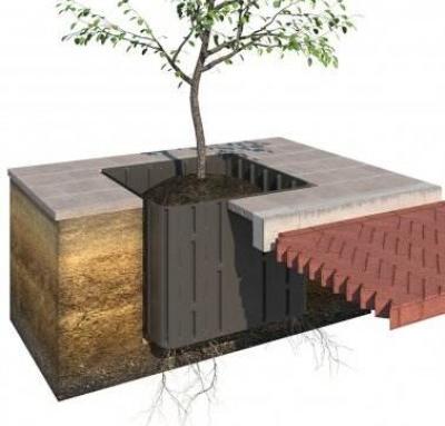 Въвеждат нова технология при засаждането на дървета в центъра на Стара Загора