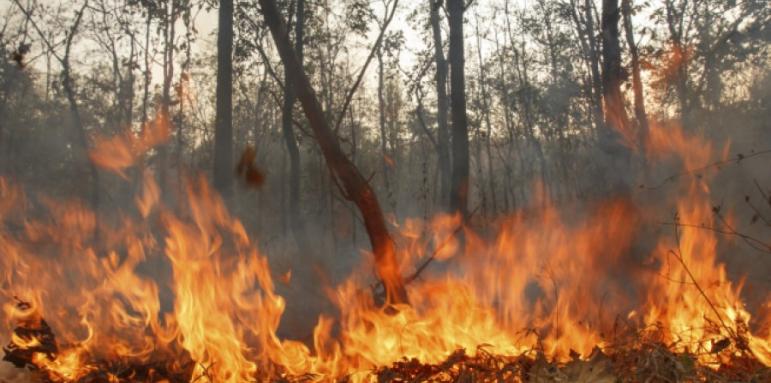 Пожарът край Тополовград вече е на три фронта