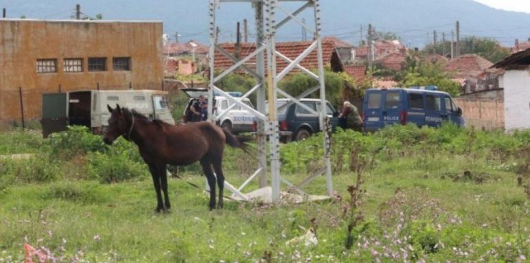 Мащабна операция в ромски махали в Старозагорско, полицията нахлу в десетки имоти