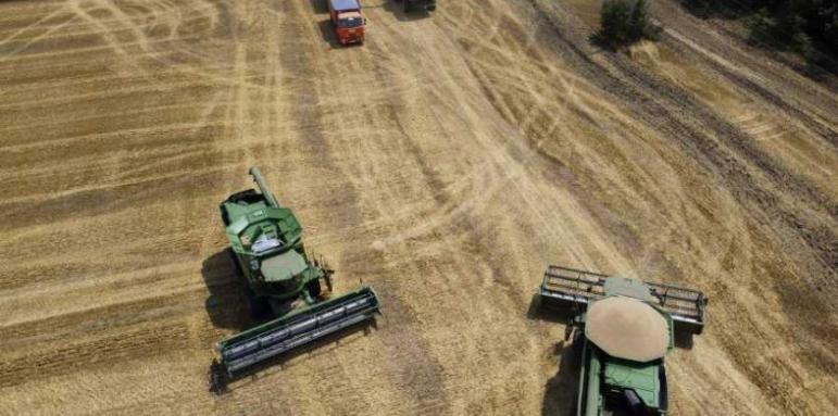 Цените на житото скочиха до небето,  фермерите без печалба