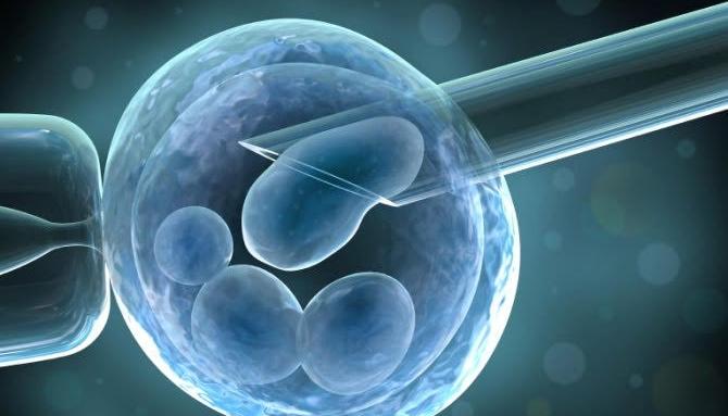 Какво знаем за съхранението на стволови клетки