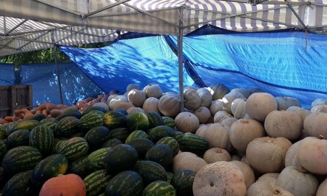 Търговци линчуват крадлив ром в Пазарджик