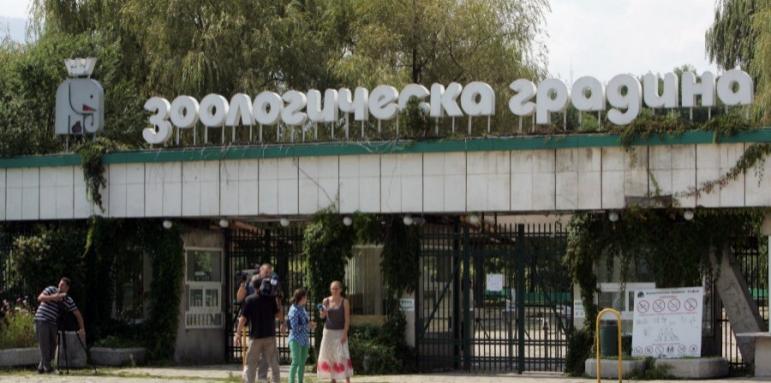 Сменят шефа на зоопарка в София