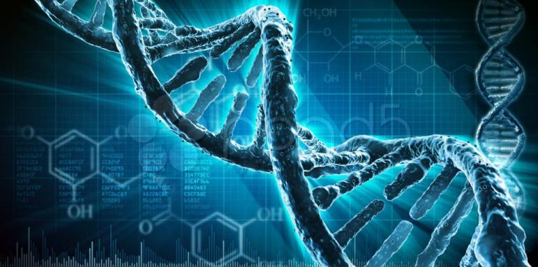 Сензация! Човешката ДНК пази стара тайна