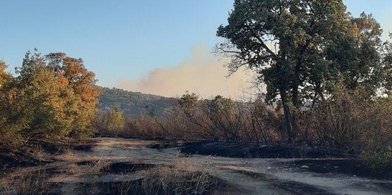 Овладян е пожарът край Хасково