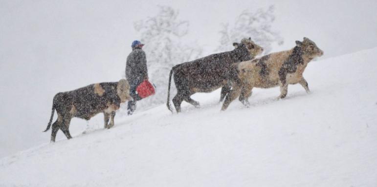 Снегът остави 22 000 без ток в Австрия