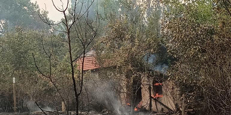Пожарникари и доброволци се борят с огнена стихия в старозагорското село Пъстрово