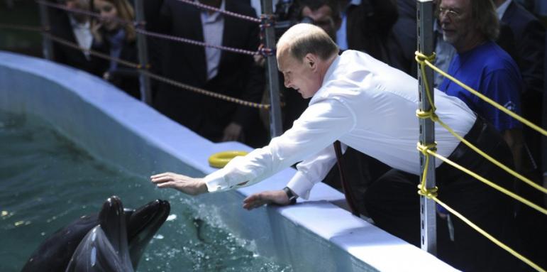 Путин храни делфини и моржове