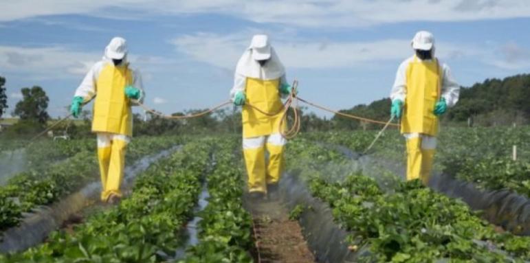 Открити са 100 тона загробени пестициди