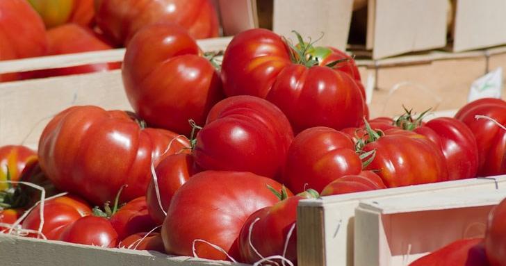Голяма промяна с доматите, какво се случва с картофите