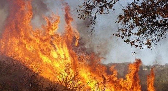 Образуваха досъдебно производство за пожара край село Елшица