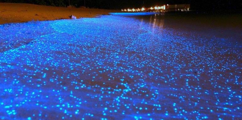 Сияйни пясъчни ивици се образуват на Малдивите (СНИМКИ)