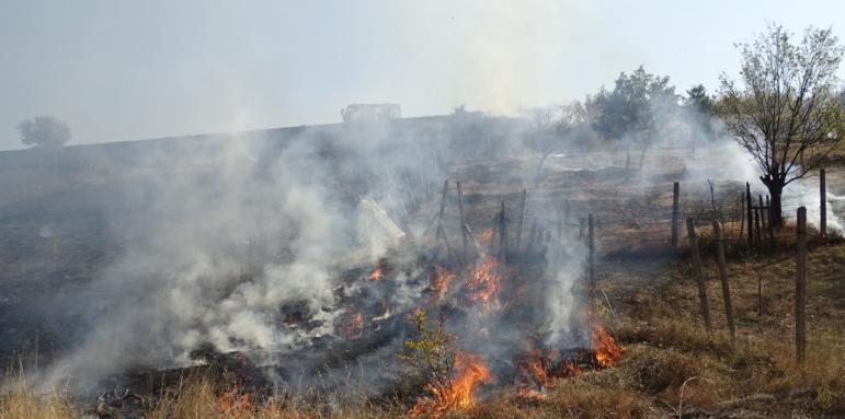 10 дка изтляха в пожар край Благоевград