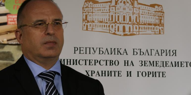 Иванка Мизова нямала нищо общо с къщата за гости