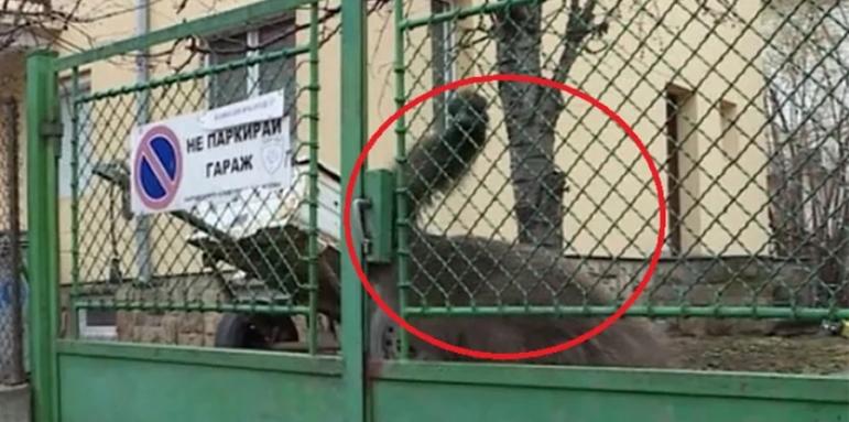 Най-странният съсед в София. Голяма изненада