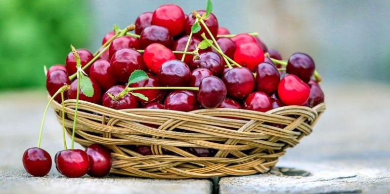 Иде сезонът на черешите. На каква цена ще ги купуваме?