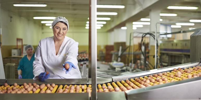 Kaufland предлага основно български яйца от 6 региона