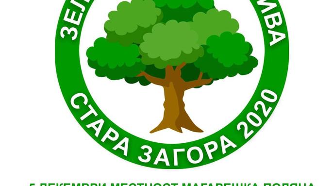 Засаждат 10 000 фиданки от цер в Стара Загора