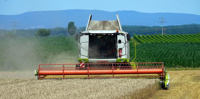 Кабинетът отпуска пари за зърно, производителите гневни