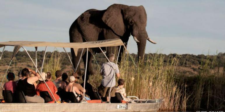 Ботсвана легализира лова на диви животни