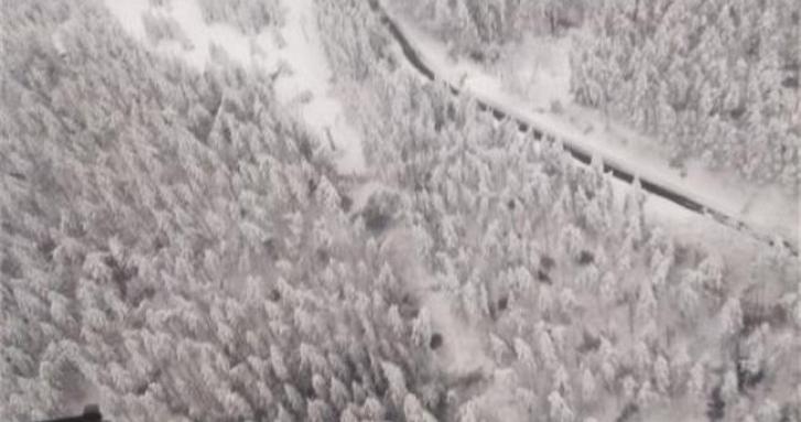 Снежното бедствие в Родопите в снимки