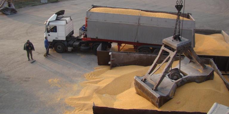България иска забрана за износ на пшеница, ако се случи най-лошото