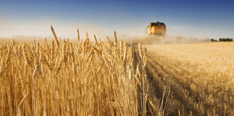 Важен пробив за България по сделката с украинското зърно