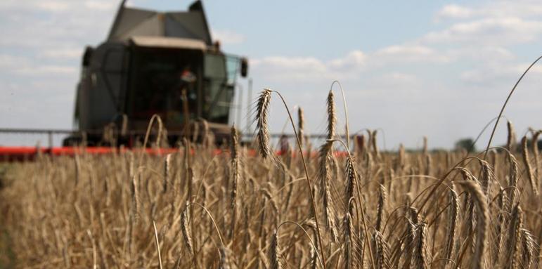 Какво става с украинското зърно? Говори ООН