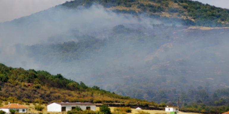 Голям пожар се разгоря в парк „Бакаджика” в Ямбол