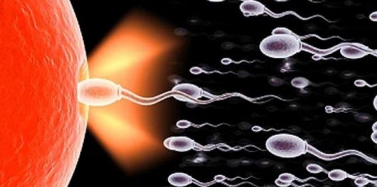 Жените стават донори на сперма