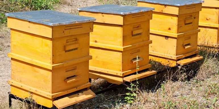 Нова е-система в помощ на пчеларите