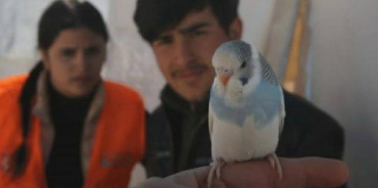 Как папагал спаси семейство от смърт под руините в Турция