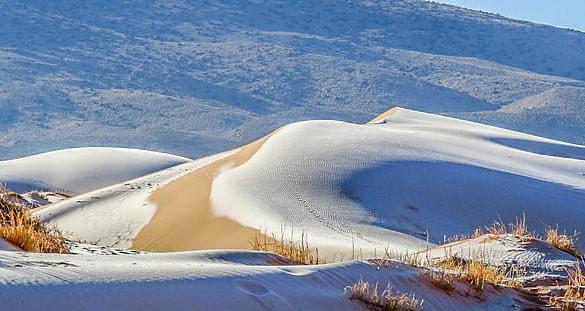 Сняг и лед в Сахара. Вижте го /СНИМКИ/