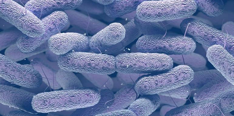 Супербактерии атакуват болници в Европа