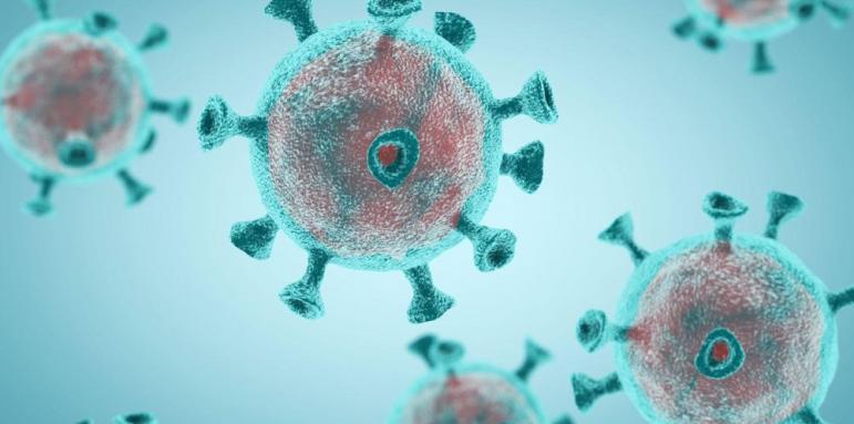 Революционно! Китайци откриха какво спира коронавируса